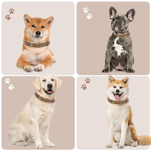 Jumpress Leather Dog Collar for Small Dogs, Soft Padded Dog Leather Collar with Heavy Duty Gold Buckle, Durable & Comfortable, Brown, S - Thumbnail 3