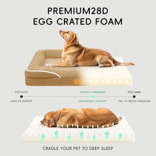 Homemate Dog Bed Large Sized Dog: 42x30 inch Orthopedic Large Dogs Bed XL Outdoor Pet Cat Bed Sofa Supplies with Toy Dogs Crate Pad Couch with Removable Washable Cover & Non-Slip Botton Brown - Thumbnail 4