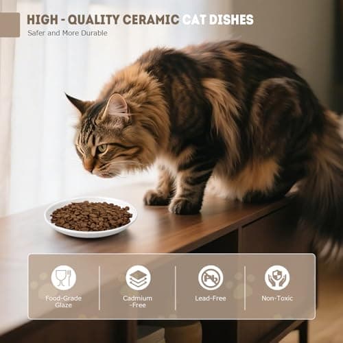 Ceramic Cat Food Bowls for Indoor Cats and Kitten, 4 Cute Cat Feeding Bowls Shallow Whisker Relief Dishes for Cats, 5.9" Wide Pet Plates for Wet & Dry Food and Water, Non-Slip Base, with 4 Spring Toys - Thumbnail 4