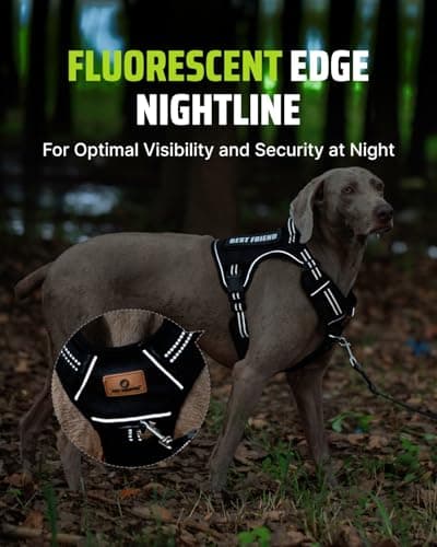 Tactical Dog Harness No-Pull Military Vest for Medium & Large Dogs, Adjustable Reflective Escape-Proof Vest with MOLLE System, Handle Control for Training, Walking, Outdoor – Black - Thumbnail 5