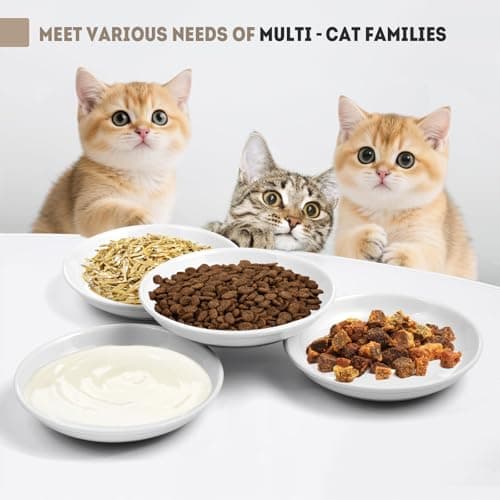 Ceramic Cat Food Bowls for Indoor Cats and Kitten, 4 Cute Cat Feeding Bowls Shallow Whisker Relief Dishes for Cats, 5.9" Wide Pet Plates for Wet & Dry Food and Water, Non-Slip Base, with 4 Spring Toys - Thumbnail 3