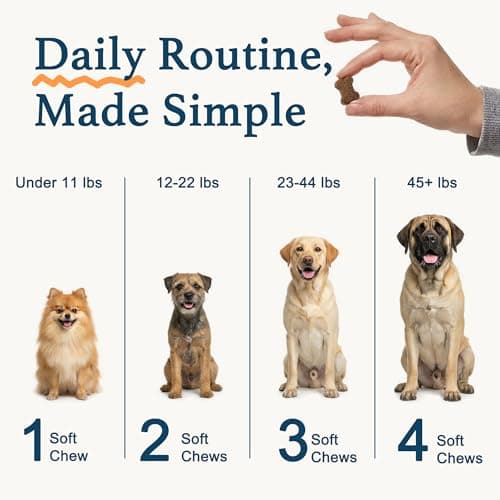 Dog Allergy Chews, Dog Probiotics for Itchy Skin Dog Allergy Relief Bites Skin and Coat Supplement Immune Support with Omega 3 Fish Oil Colostrum for Dog Seasonal Allergies Itchy Skin and Ear 120ct - Thumbnail 6