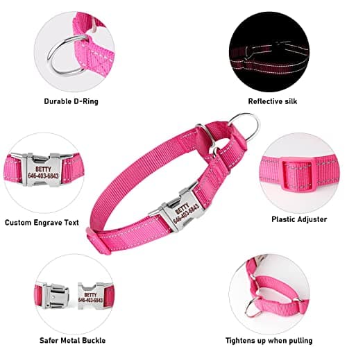 Personalized Martingale Dog Collar-Reflective Martingale Collars with Buckle, Custom Training Martingale Dog Collars Embroidered with Name and Phone Number for Small Medium Large Dogs - Thumbnail 3