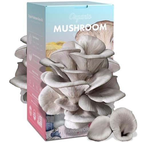 Organic Edible 4lbs Oyster Mushroom Growing Kit, Made in USA, Double-Side Mushroom Grow Kit Indoor, Harvest Gourmet Mushrooms in 10 Days, Top Gardening Gift, Holiday Gift - Image 1