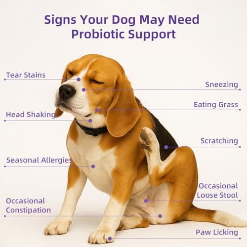Dog Probiotic Chewable Tablets with Prebiotic, Apple Cider Vinegar & Papaya Powder, Pork Flavor Daily Digestive Supplement for All Breeds Dogs, 90 Count - Thumbnail 3