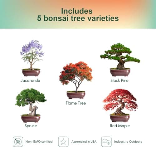 5 Pack Bonsai Tree Kit with Complete Tools, 5X Unique Seeds Bonzai Tree Kits, Indoor Bonsai Starter Kit with Wooden Box, Perfect Christmas Garden Gift for Mom, Men, Women, Plant Lover - Thumbnail 2