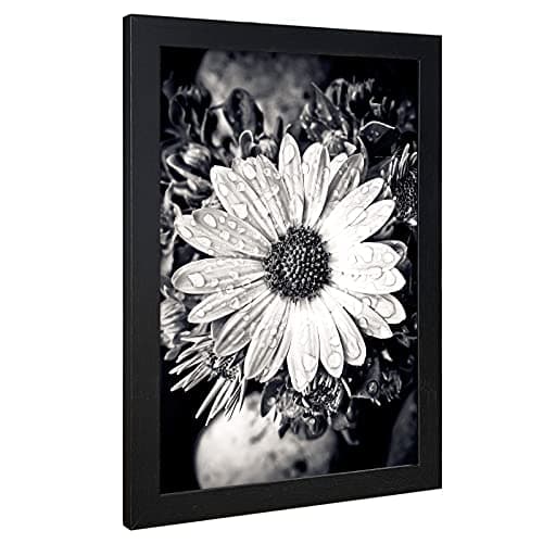 VCK Poster Frame 11x17 Set of 3, Wood Black Picture Frame, Wall Gallery Photo Frames, 3 Pack - Thumbnail 5