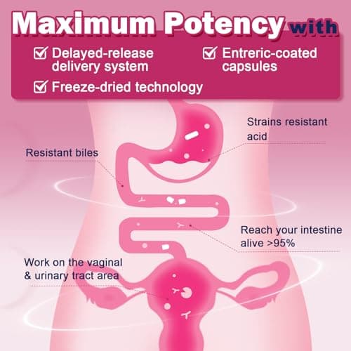 ZEBORA Vaginal Probiotics for Women 100 Billion CFUs, Probiotic for Digestive Health & Vaginal pH Balance & Urinary Tract Health, with Organic Cranberry & Prebiotics, 90 Veggie Capsules - Thumbnail 5