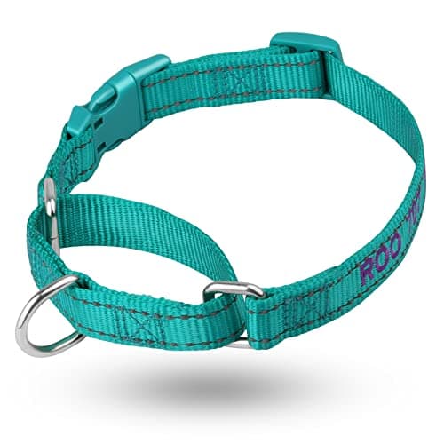 Personalized Martingale Dog Collar-Reflective Martingale Collars with Buckle, Custom Training Martingale Dog Collars Embroidered with Name and Phone Number for Small Medium Large Dogs - Thumbnail 2