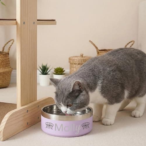 Personalized Engraved Dog Cat Bowl – Custom Name & Cute Pattern, 304 Stainless Steel, Double Layer, Durable, Easy Clean, Pet Gift for Small to Large Pets - Thumbnail 6