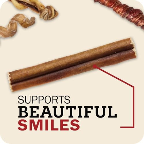 Redbarn Pet Products All Natural 5"-8" Bully Sticks for Small & Large Dogs - Healthy Long Lasting Chews Variety Party Pack - 100% Beef Single Ingredient Low Odor Rawhide Free Dental Treats - 8 oz Bag - Thumbnail 4