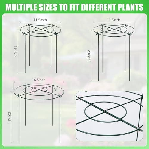 Peony Cages and Supports 8 Pack, 11.5 x 20 Inch Heavy Duty Plant Support Cage Set for Peonies, Roses & Tomatoes – Garden Stakes & Plant Cages for Outdoor Plants (8 Pack, 11.5 x 20 Inch) - Thumbnail 3