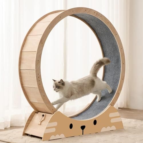 RRPETHOME 45" Cat Wheels for Indoor Cats, Quiet & Stable Cat Exercise Running Wheel, Cats Treadmill with Anti-Slip Mat - Image 1