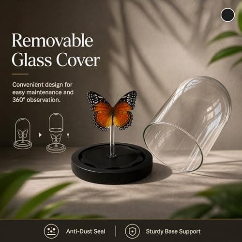 Real Taxidermy Butterfly Specimen Shadow Box, Butterfly Gifts for Women Girls with Glass Cover, Butterfly Decor for Bedroom Office Living Room Desk ﻿ Cethosia bibles Drury - Thumbnail 4