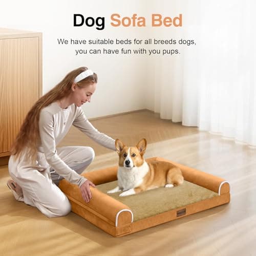 Small Dog Bed Orthopedic Washable: Beds Bolster Small Sized Dogs Bed Egg Crate Foam Couch Sofa Waterproof with Removable Cover - Orange - Thumbnail 3