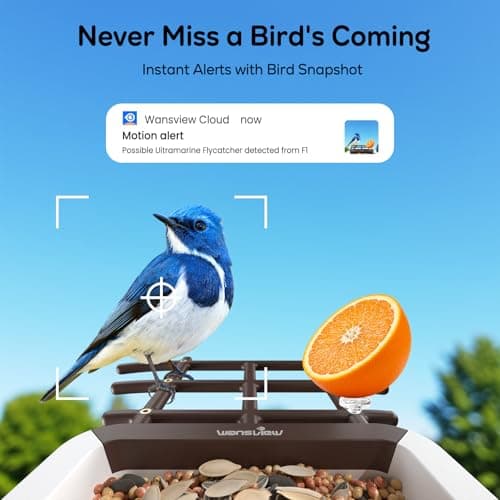 wansview Bird Feeder with Camera-Smart Bird Feeders for Outdoors Solar Powered, Birdhouse with Cam & Instant Alert, 2K Live Video, AI Identify Species, Ideal Gift for Tech Lovers, F1, Brown, 2.4G WiFi - Thumbnail 3