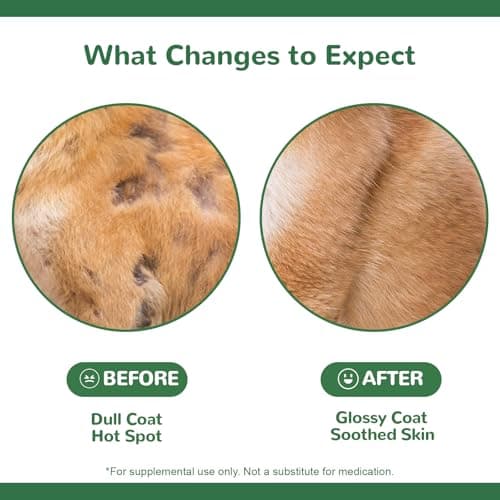 Vetriuntrix Dog Allergy Chews 200ct, Dog Allergy Relief Chews Coat Supplement for Itchy Skin Paw Licking, Probiotics for Large Dogs with Colostrum Omega-3 Turmeric Immune Supplement - Thumbnail 4