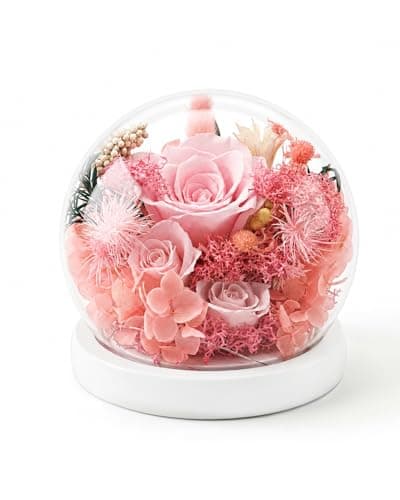 Nysunten Forever Preserved Flowers Decoration in Clear Glass Dome, Long Lasting Flowers Gift for Her, Romantic Gift for Mother’s Day Valentine’s Day (Pink)
