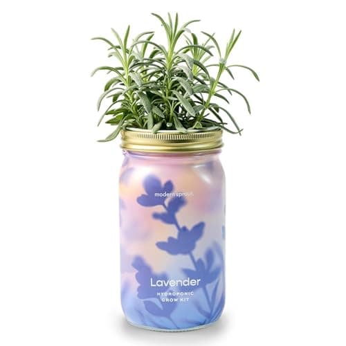 Modern Sprout Mason Garden Jar - Self-Watering Hydroponics Growing System Kit with Organic Herb Seeds - Jar Planter for Indoor Herb Garden - Seed Starter Kit - Home Decor & Gifting - Lavender - Image 1