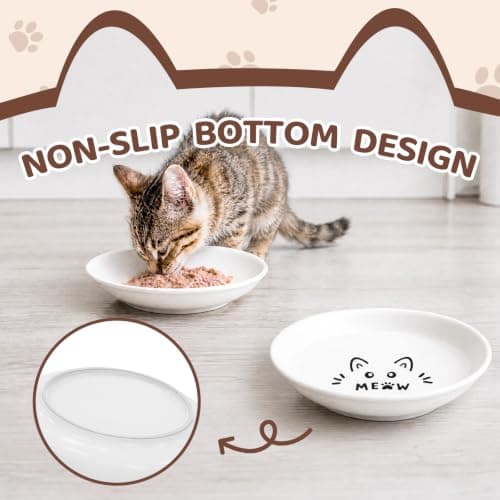 YINEYA 3 Pack Cat Food Bowls, Anti Whisker Fatigue Ceramic Cats Dishes Set - Thumbnail 4
