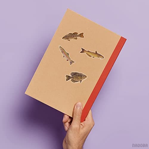 2 Sheets Fish Stickers for Adults - Realistic Detailed Fish Sticker Set, Quality Vinyl, 26 Fishing Stickers and Decals, Great Phone & Laptop Decorating - Usable with Metal, Plastic, Wood and Glass - Thumbnail 6