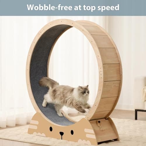 RRPETHOME 45" Cat Wheels for Indoor Cats, Quiet & Stable Cat Exercise Running Wheel, Cats Treadmill with Anti-Slip Mat - Thumbnail 6