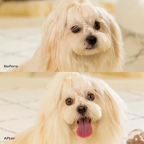 Muddi Pet Dog Concentrated Waterless Rinse-Free Shampoo & Conditioner with Bath Mitt – Sensitive Skin, Stress & Itch Relief Gentle Leave-in Serum – 98.65% Naturally Derived-Dry Shampoo for Dogs–8×10ml - Thumbnail 6
