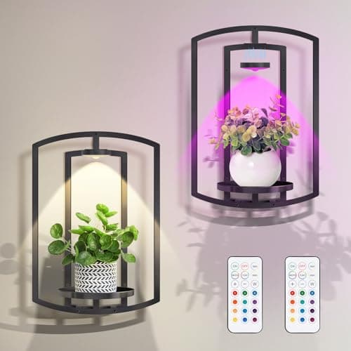 AUCCNT Wall Plant Holder with Remote Grow Lights, Framed Plants Holder for Indoor Plants Wall Decor, Living Room Plant Stand, Window Plant Shelves, 1 Pack - Image 1