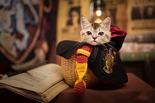 Dog Cat Costumes with Glasses and Neckties,Cosplay Costume Set Perfect for Party and Gifts for Cat Dog (Gryffindor, Small) - Thumbnail 4