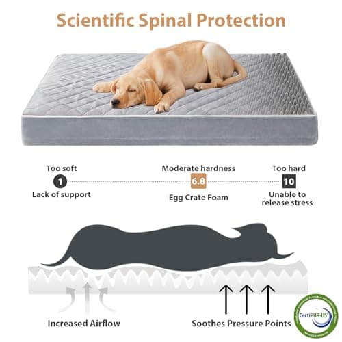 WNPETHOME Orthopedic Dog Bed for Crate, Waterproof Extra Large Dogs Bed with Removable Washable Cover, Multi-Needle Quilting Dogs Crate Beds - Thumbnail 3