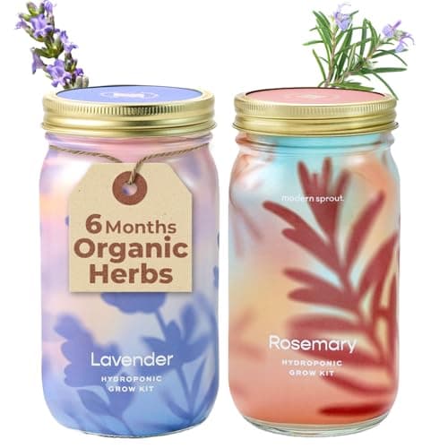 Modern Sprout Mason Garden Jar - Self-Watering Hydroponics Growing System Kit with Organic Herb Seeds - Jar Planter for Indoor Herb Garden - Seed Starter Kit - Home Decor & Gifting - Lavender+Rosemary