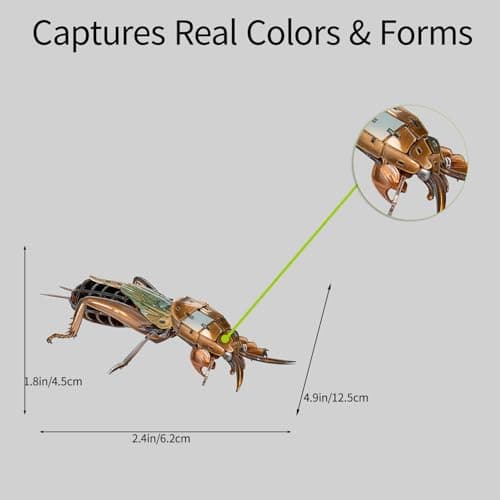 HELLOTOY 3D Acrylic Insects Puzzles DIY Bug Model Kit for Teenagers Educational Display Nature Decoration Figurine Sculpture (Mole Cricket) - Thumbnail 4