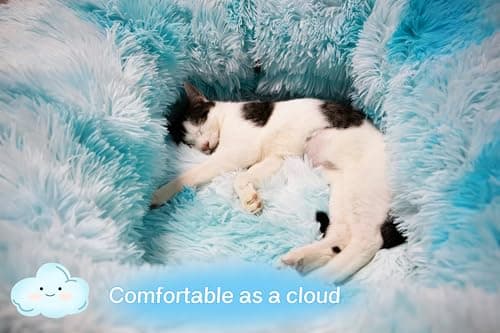 XxingSheep XL Cat Tunnel with Bed for Indoor Cats Peekaboo Cat Cave Donut Toy with Warm Mat,Azure Blue - Thumbnail 3