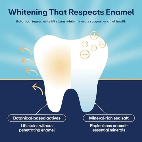 Lumineux Teeth Whitening Strips - 35 Treatments (6 Months) – Peroxide Free - Enamel Safe for Whiter Teeth - Whitening Without The Sensitivity - Dentist Formulated - Sensitivity Free - Thumbnail 3