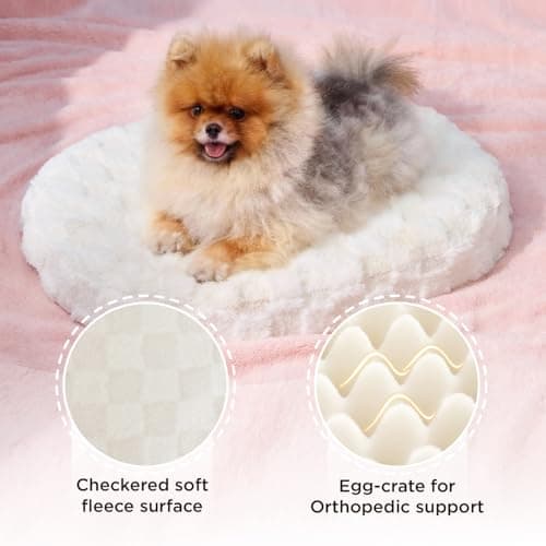 Joydeco Cloud Dog Bed for Small Dogs & Cats, Washable Pet Bed with Orthopedic Foam and Removable Checkered Plush Pad, Non-Slip Bottom for Indoor Puppies and Kittens, 27x24 Inch, White - Thumbnail 3