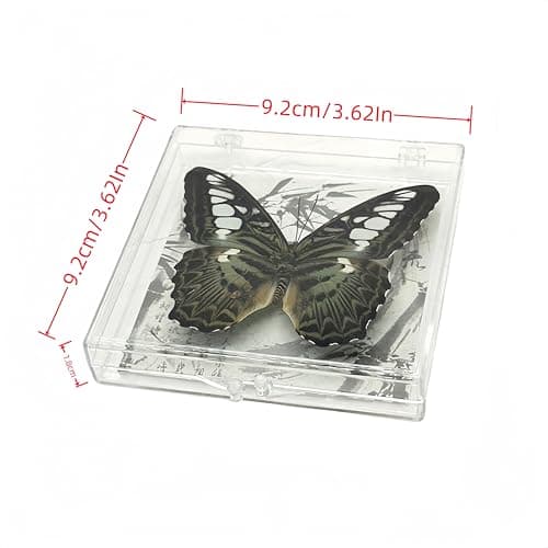 Wugakio 6pcs Collected Butterfly Specimen Display Box Educational Transparent Butterfly Showcase for Students for Home Decoration and Teaching Aid for Collectors and Nature Enthusiasts - Thumbnail 5