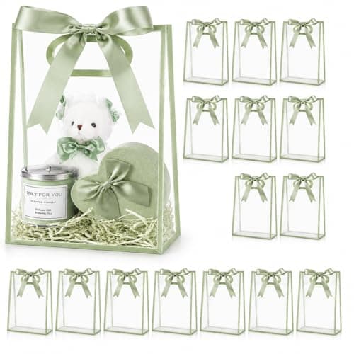 BEFEIEULEAQ 16 Pcs Clear Gift Bags with Ribbon and Handles, 10 x 7 In