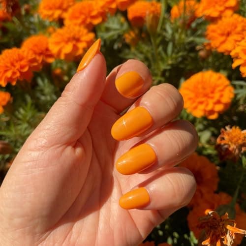 Bright Orange Press on Nails Medium, False Acrylic Nails Press Ons,Jelly Fake Nails,Natural Petite Glue on Nails,Stick on Nails for Women Girls in 30 PCS - Thumbnail 5
