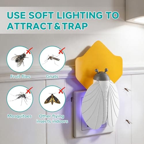 2 Pack Fly Traps & 10 Glue Cards, Fruit Fly Traps for Indoors, Gnat Traps for House Indoor, Flying Insect Trap Catcher for Mosquitoes and Moths, Plug-in Indoor Bug Zapper - Thumbnail 4
