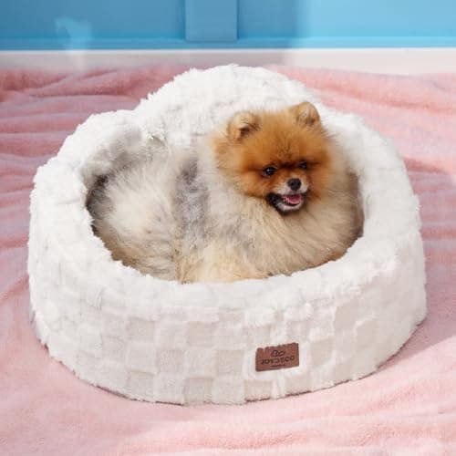 Joydeco Cloud Dog Bed for Small Dogs & Cats, Washable Pet Bed with Orthopedic Foam and Removable Checkered Plush Pad, Non-Slip Bottom for Indoor Puppies and Kittens, 22x20 Inch, White - Image 1