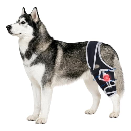 Moysoon Dog Knee Brace for Torn Acl Hind Leg, Relieves Ligament Injury and Joint Pain, Adjustable Leg Support Bracket for Warmth and Support, Universal Dog Knee Brace for Four Legs,(XL).