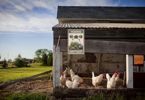 Carastora Funny Garden Sign – Humorous Decorative Metal Sign for Plant Lovers, Durable, Waterproof, Suitable for Gardens, Yards, Balconies, Kitchens, Cafes, Farms, and Outdoor Spaces – 8x12 Inches - Thumbnail 3