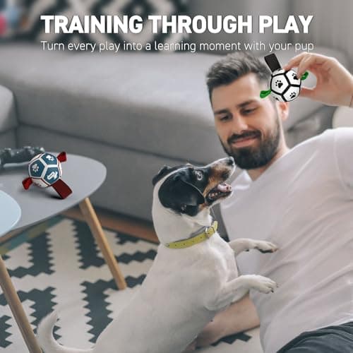 QDAN 2 Pack Small Dog Toys, 3.5 Inch Puppy Balls, Dog Balls with Straps for Small Breed, Soccer Ball for Dogs, Puppy Toys, Dog Birthday Gift - Thumbnail 5