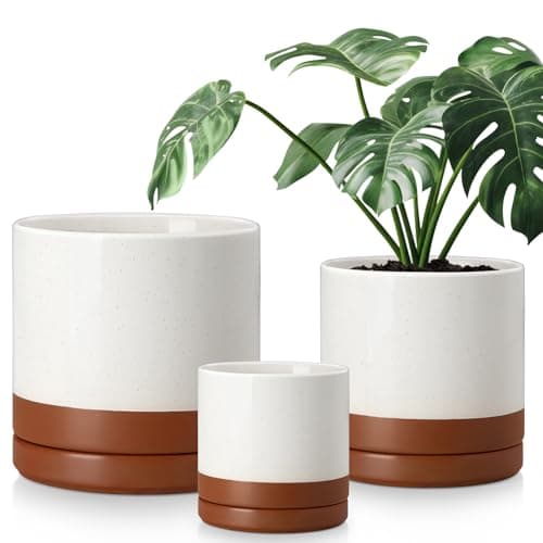 vancasso Ceramic Pots for Plants, Plant Pots for Indoor Plants, 6.25+8.25+10.25 Inch Ceramic Planters, Flower Pots with Drainage Holes, Planters Pot for Indoor House Plant, Set of 3, Khaki