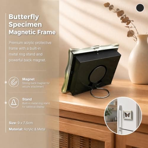 1Pcs Real Butterfly Framed Handmade, Taxidermy Butterfly Shadow Box Collection, Framed Butterfly Taxidermy for Oddities and Curiosities Gifts Tabletop Ornaments (#10-butterfly Specimen+photo Frame) - Thumbnail 6