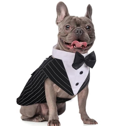 DORA BRIDAL Dog Tuxedo for Medium Dogs, Dog Suit and Bowtie, Formal Dogs Wedding Outfit, Pet Tuxedo and Bandana Set Valentines Birthday Costumes for French Bulldog, Pomeranian, Dachshund, Striped, M - Image 1