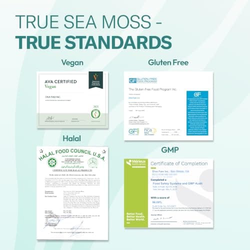 TrueSeaMoss Sea Moss Gel – Wildcrafted Seamoss with Fruits – Jams & Jellies – Watermelon/Raspberry, Pack of 1 (Labels may Vary) - Thumbnail 5