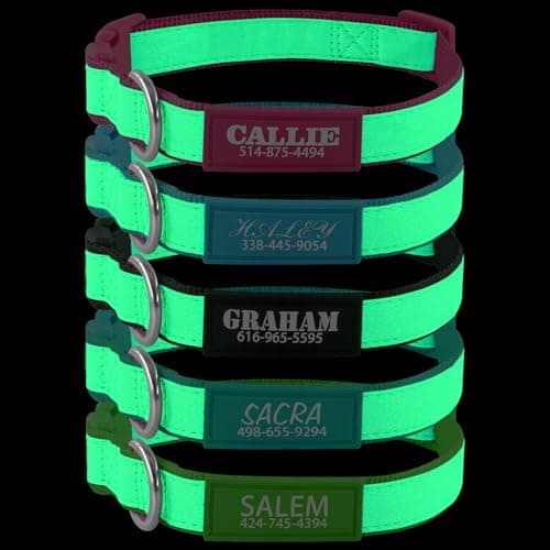 Personalized Dog Collars for Small & Large Dogs with Custom Name and Phone Numbers, Glow in The Dark Adjustable Glowing Luminous Collar(Fluorescent Glow) - Image 1