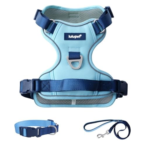 Blue Dog Harness Leash Collar Set, No Pull Reflective Dog Vest Harness with Control Handle, Adjustable Breathable Pet Harness for Small Medium Dogs Walking Training - Image 1