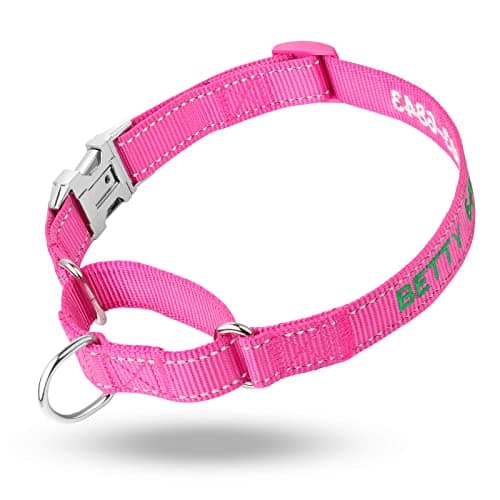 Personalized Martingale Dog Collar-Reflective Martingale Collars with Buckle, Custom Training Martingale Dog Collars Embroidered with Name and Phone Number for Small Medium Large Dogs - Thumbnail 2